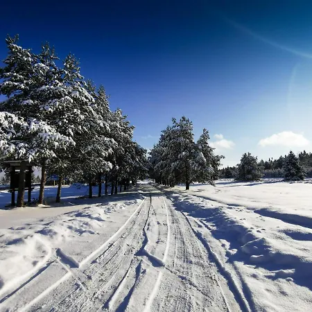 Baligowka Aurelia I Maximus Alpehytte *